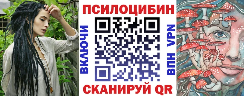 Псилоцибиновые грибы прущие грибы  Чухлома 